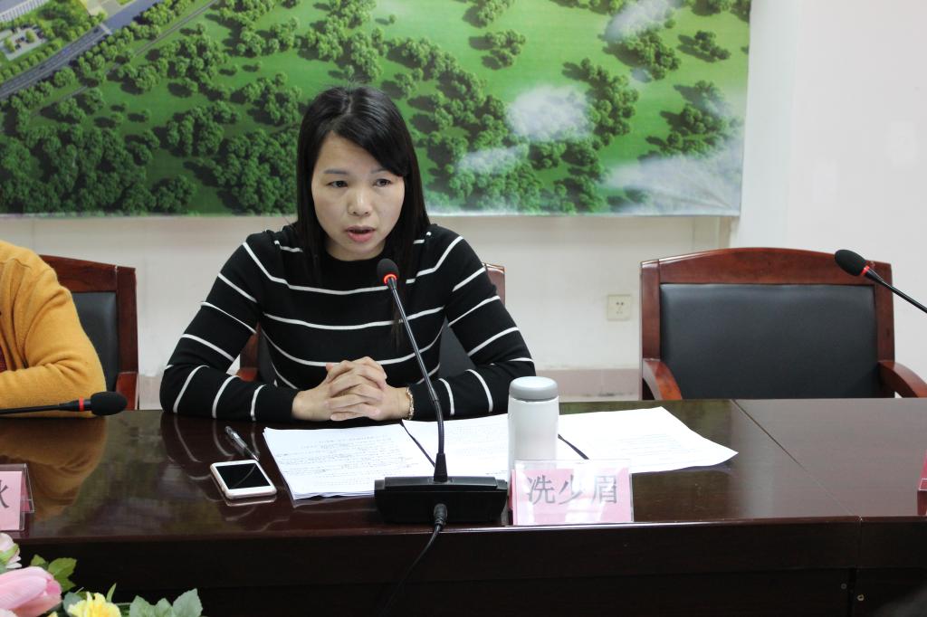 专家组组长冼少媚发言 专家组组长冼少媚发言