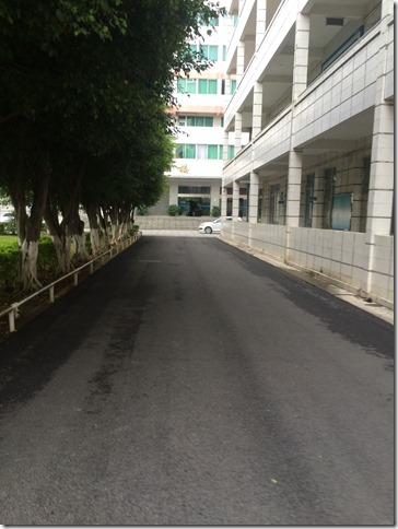 清扫后的校道 清扫后的校道